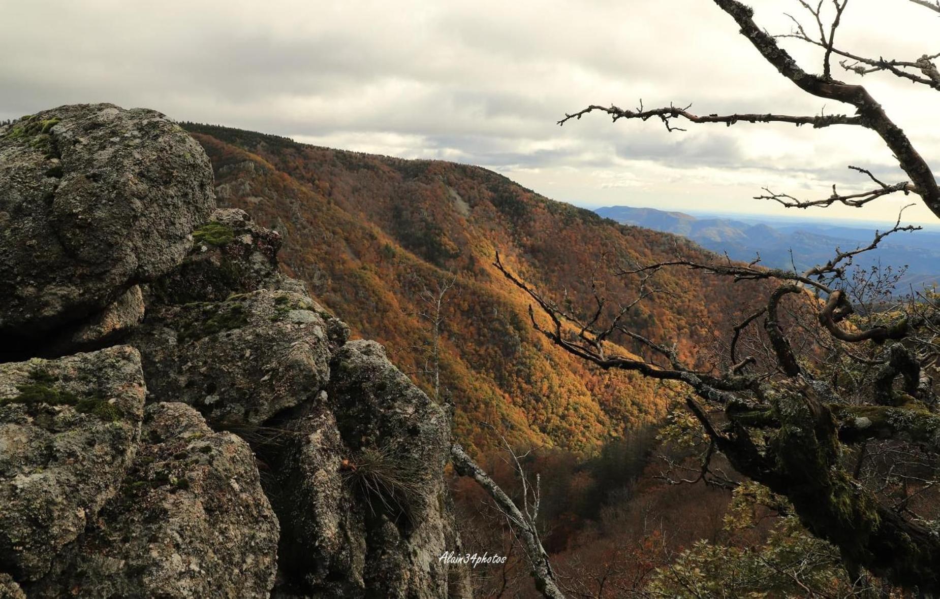 Grand Gite, Mas Favieres Notre-Dame-de-la-Rouvière 外观 照片